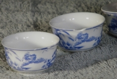 bluewillowset005