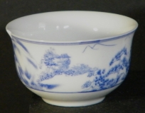 bluewillowset010
