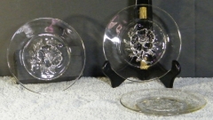 camilliaplates006
