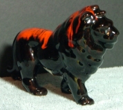 canucklion04