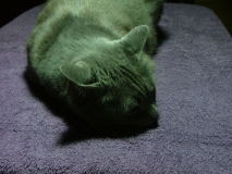 DSCF1443