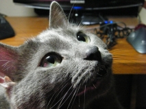 DSCF8162